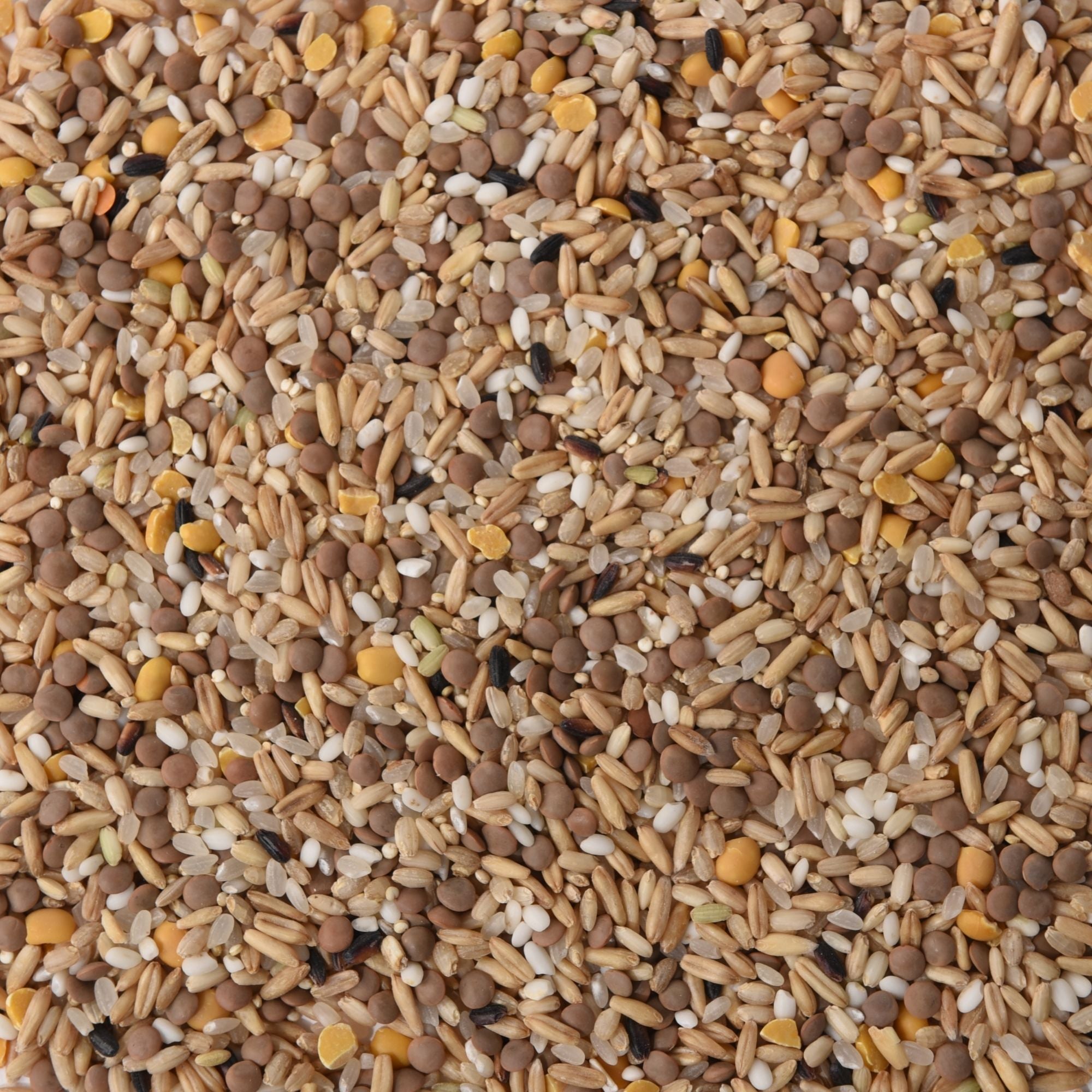 Lentils & Grains