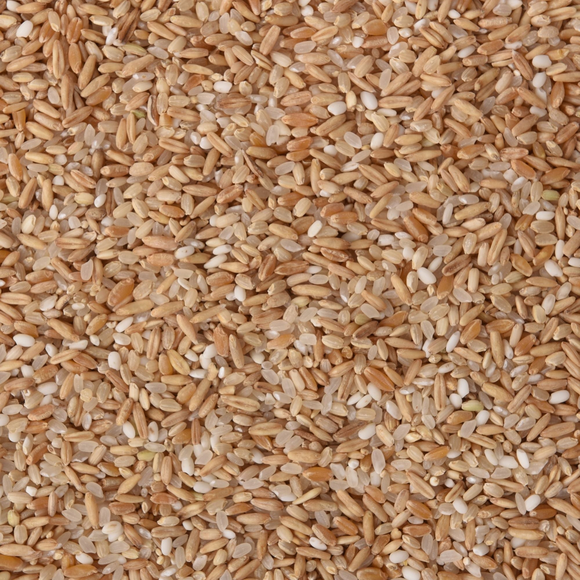 Farro & Ancient Grain
